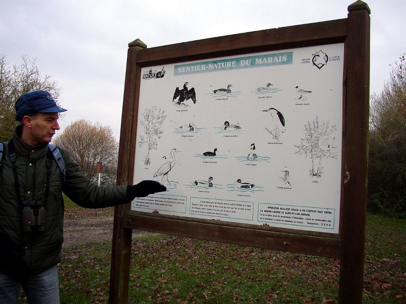 2009 01 Ornitho à Ecluzelles 02